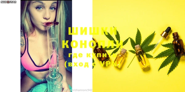 шишки Богданович
