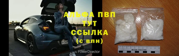 шишки Богданович