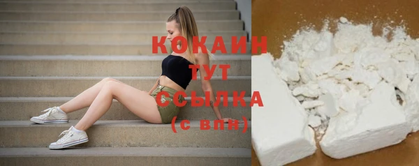 шишки Богданович
