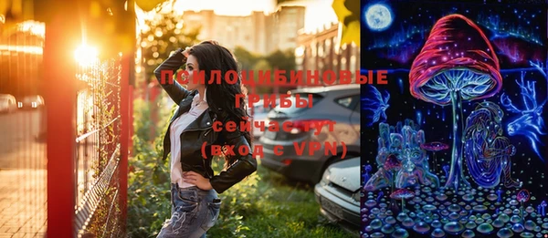 шишки Богданович