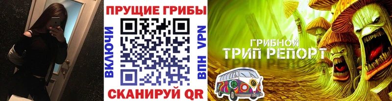 хочу Электроугли Галлюциногенные грибы Psilocybine cubensis